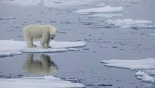 oon nous parle du réchauffement climatique comme à des enfants